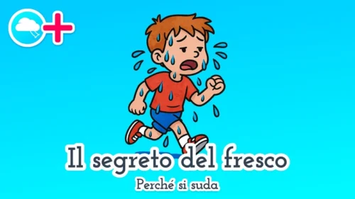 Il segreto del fresco: perché si suda 💦 fiaba didattica ed educativa per bambini