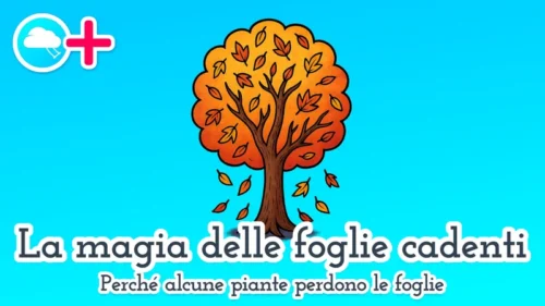 La Magia delle Foglie Cadenti: Perché alcune piante perdono le foglie in inverno 🍂 fiaba educativa